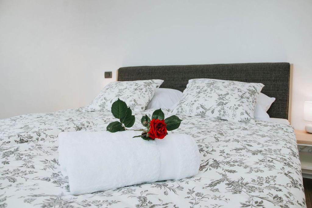 Apartmaji Ursic *